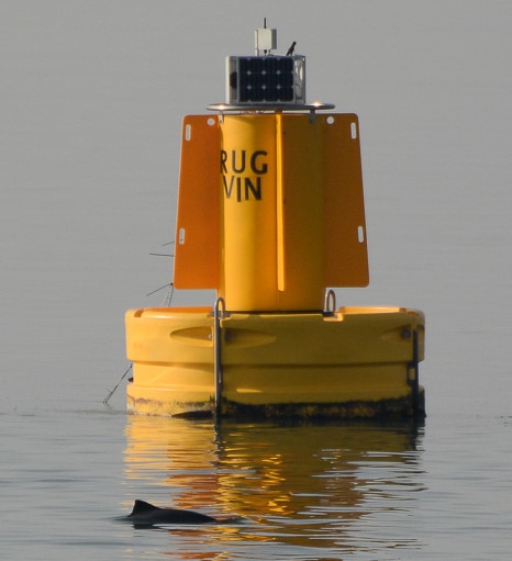 Crowdfundingsactie voor Studio Bruinvis